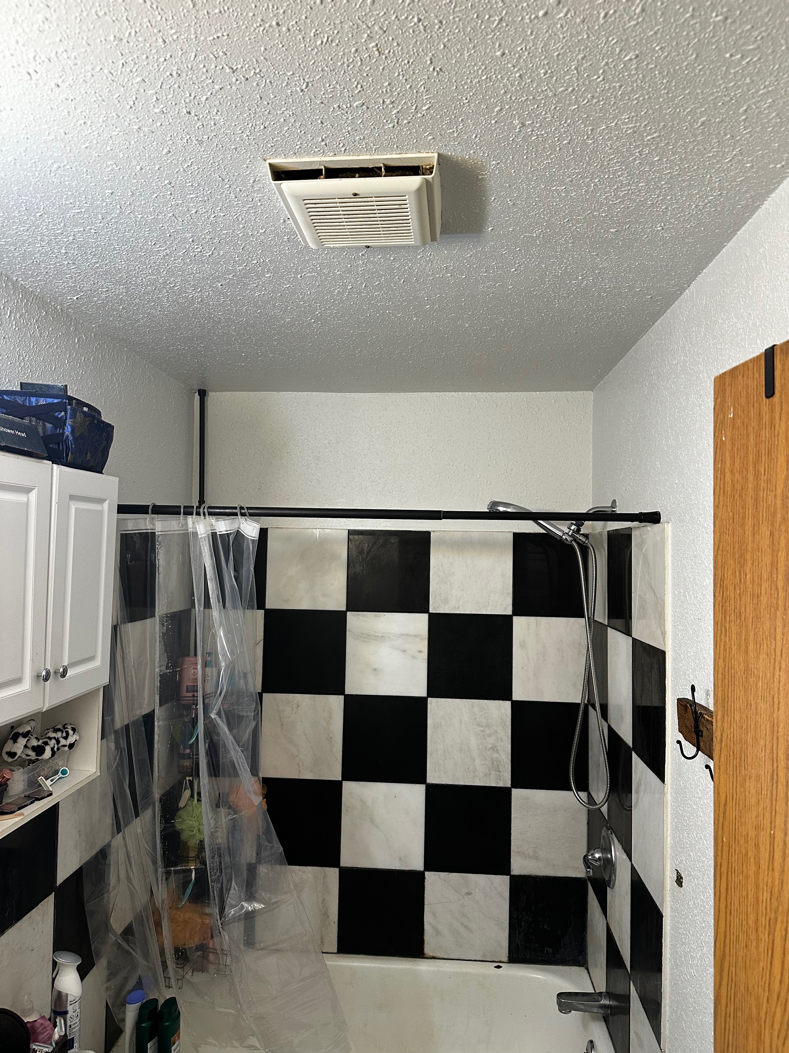 Mold remediation project in Alaska residential property