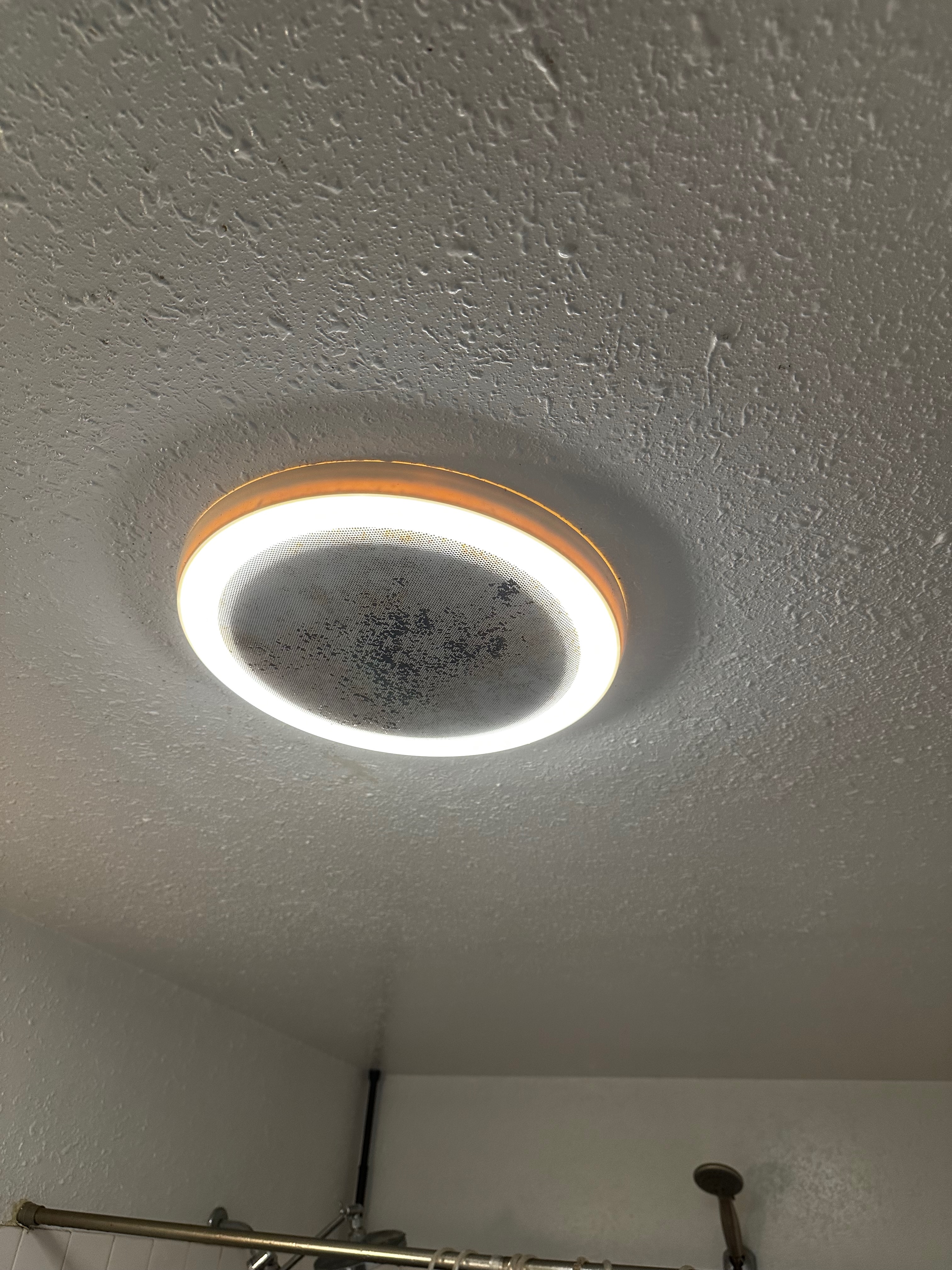 Professional mold treatment equipment used by Pure Maintenance Alaska