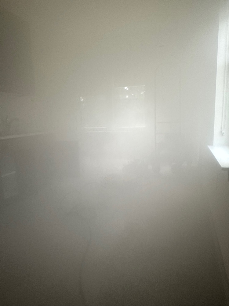 VaPURE dry fog mold treatment filling entire room - microscopic particles penetrating every surface