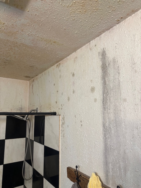 Bathroom with visible mold on ceiling and walls before Pure Maintenance treatment